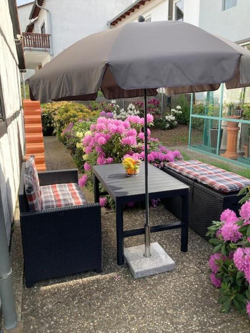 Apartment Mit Wintergarten Und Terrasse In Ruhiger Lage Im Schoenen Taunus 格拉斯许特 外观 照片