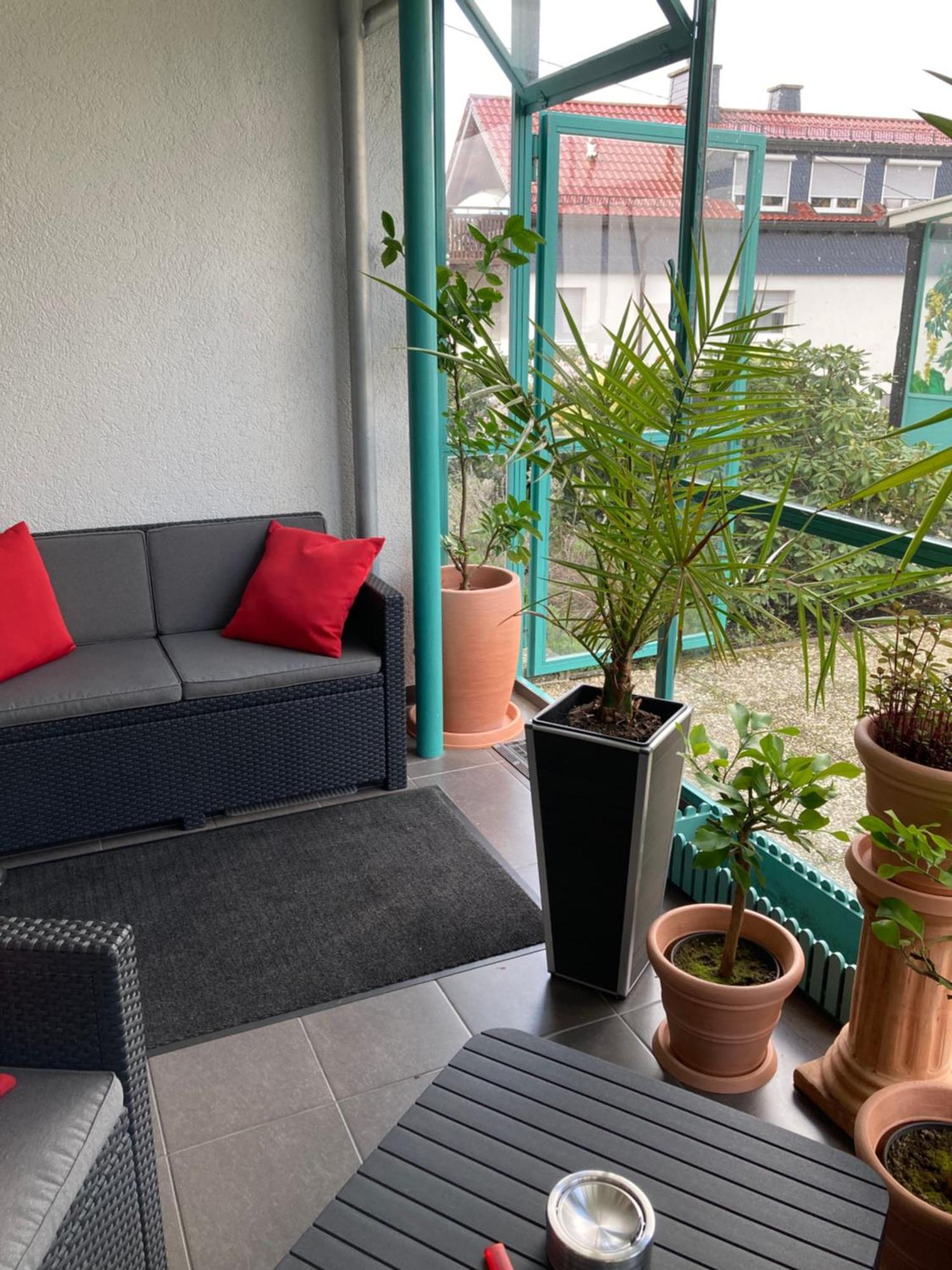 Apartment Mit Wintergarten Und Terrasse In Ruhiger Lage Im Schoenen Taunus 格拉斯许特 外观 照片